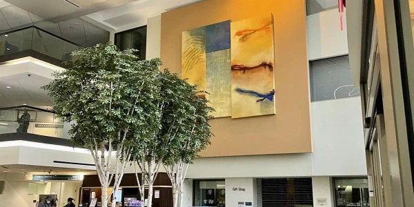 Virginia Hospital Center